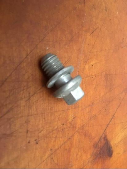 Picture of Torque Converter Bolt