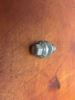 Picture of Torque Converter Bolt